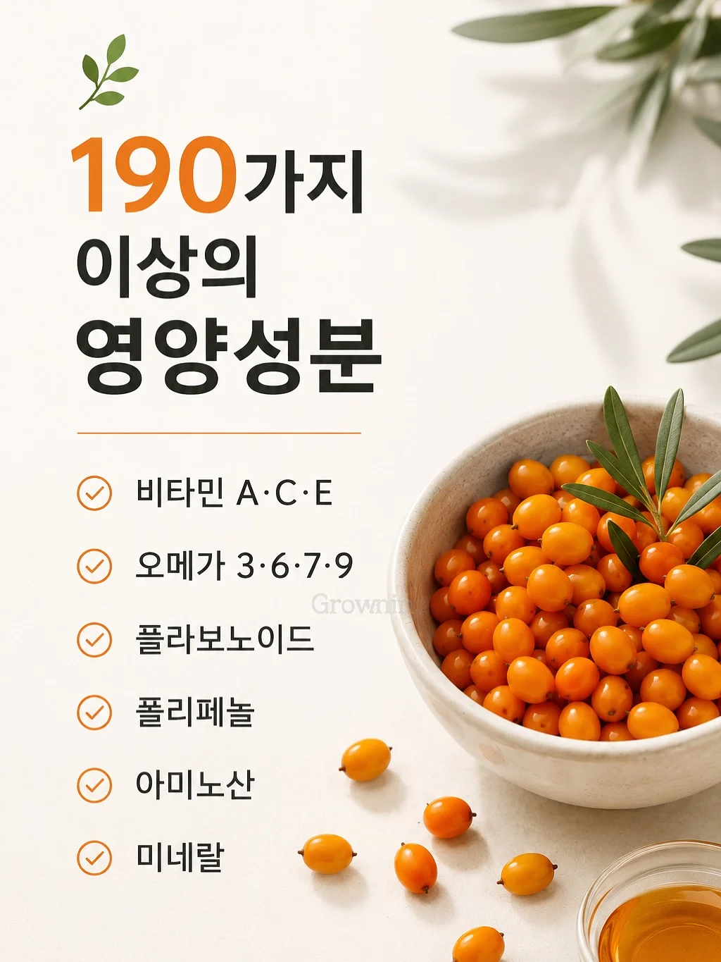 독서논술 수업 5