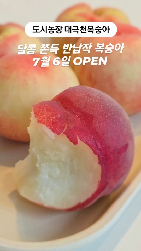 쿨 반전 자켓