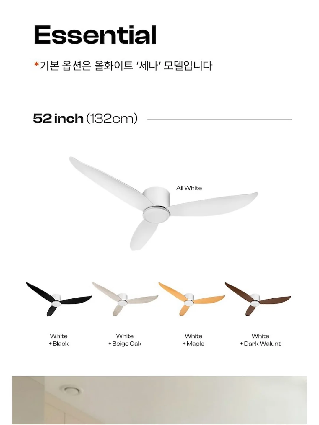 스페시핏 곰팡이 제거제 16