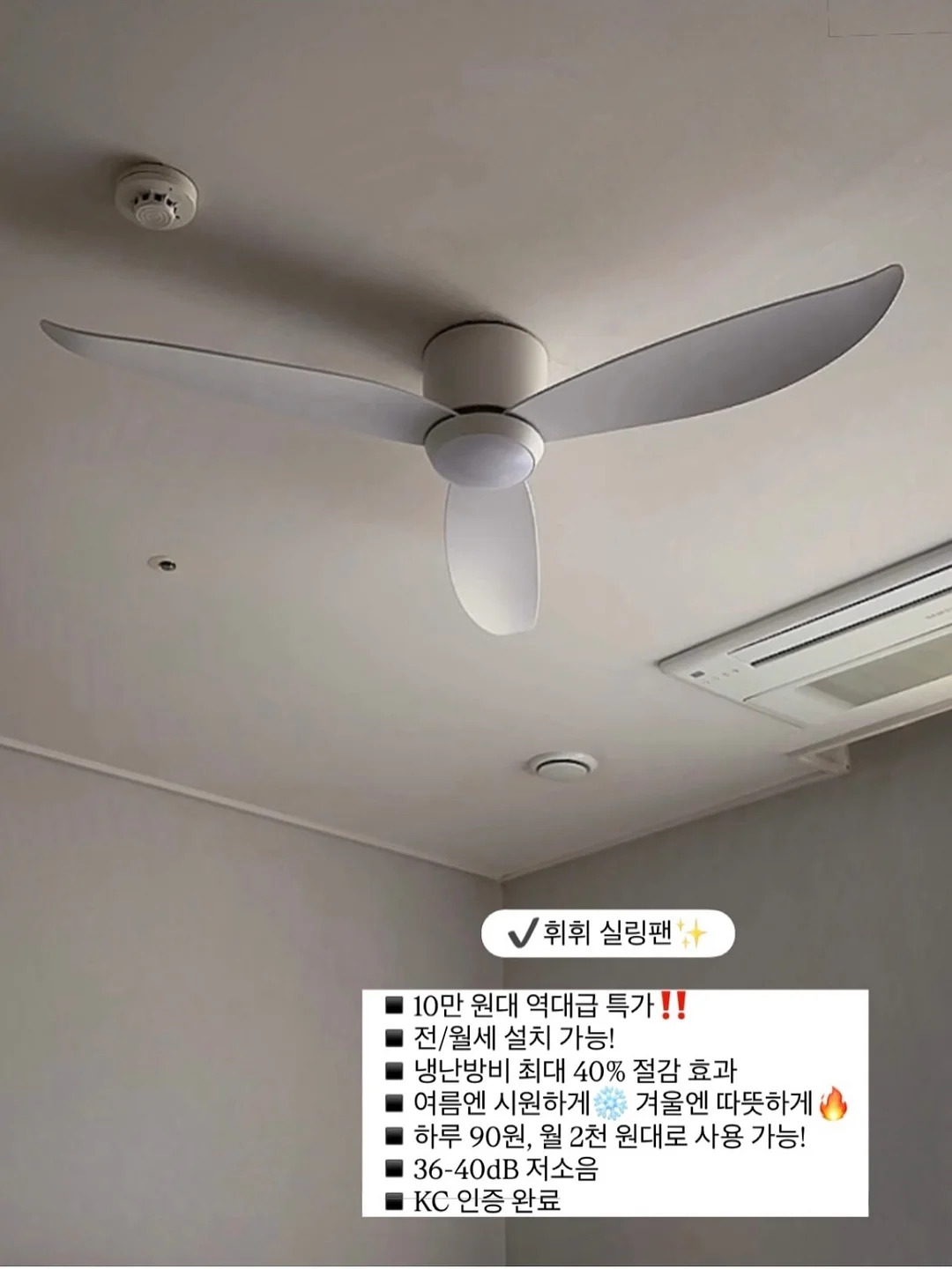 스페시핏 곰팡이 제거제 17