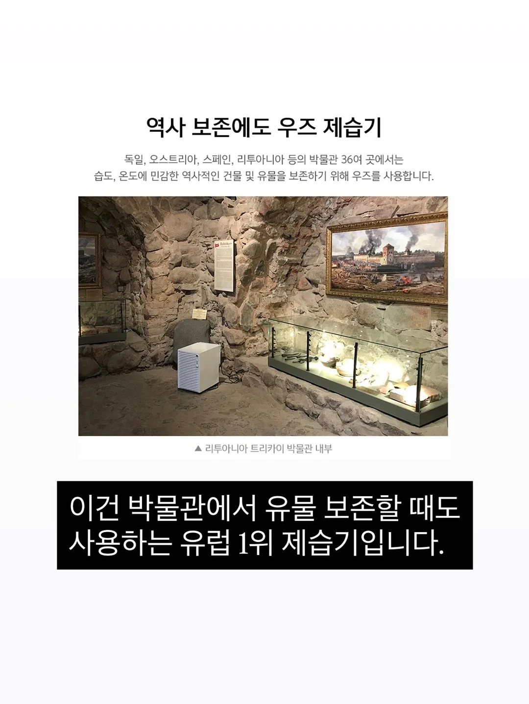 올비건 오메가3 4