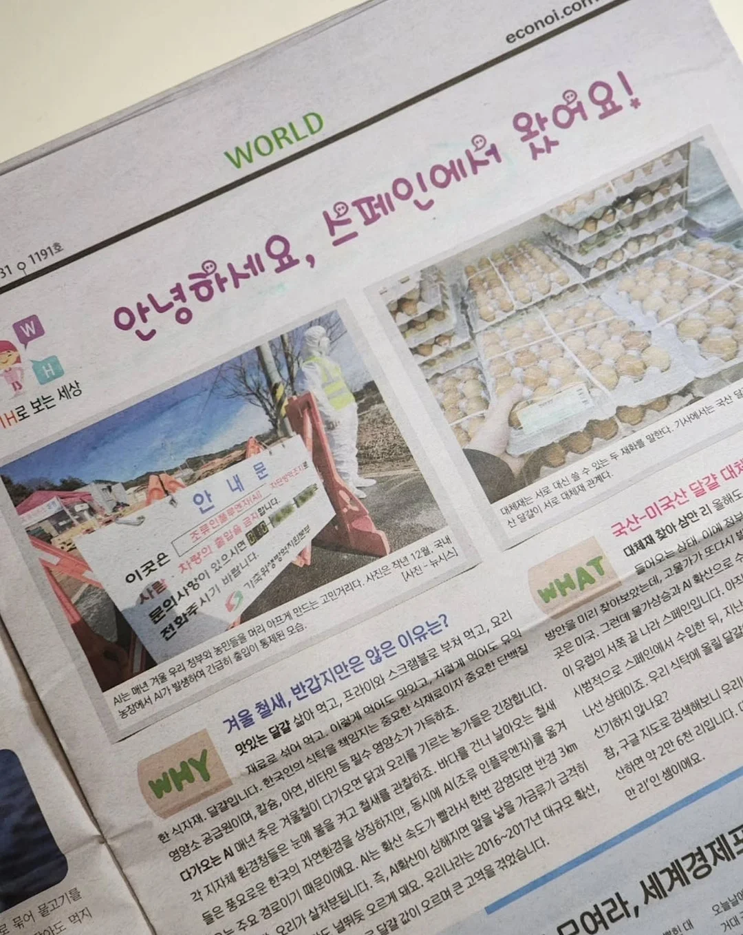 볼 레이어드 팔찌 15