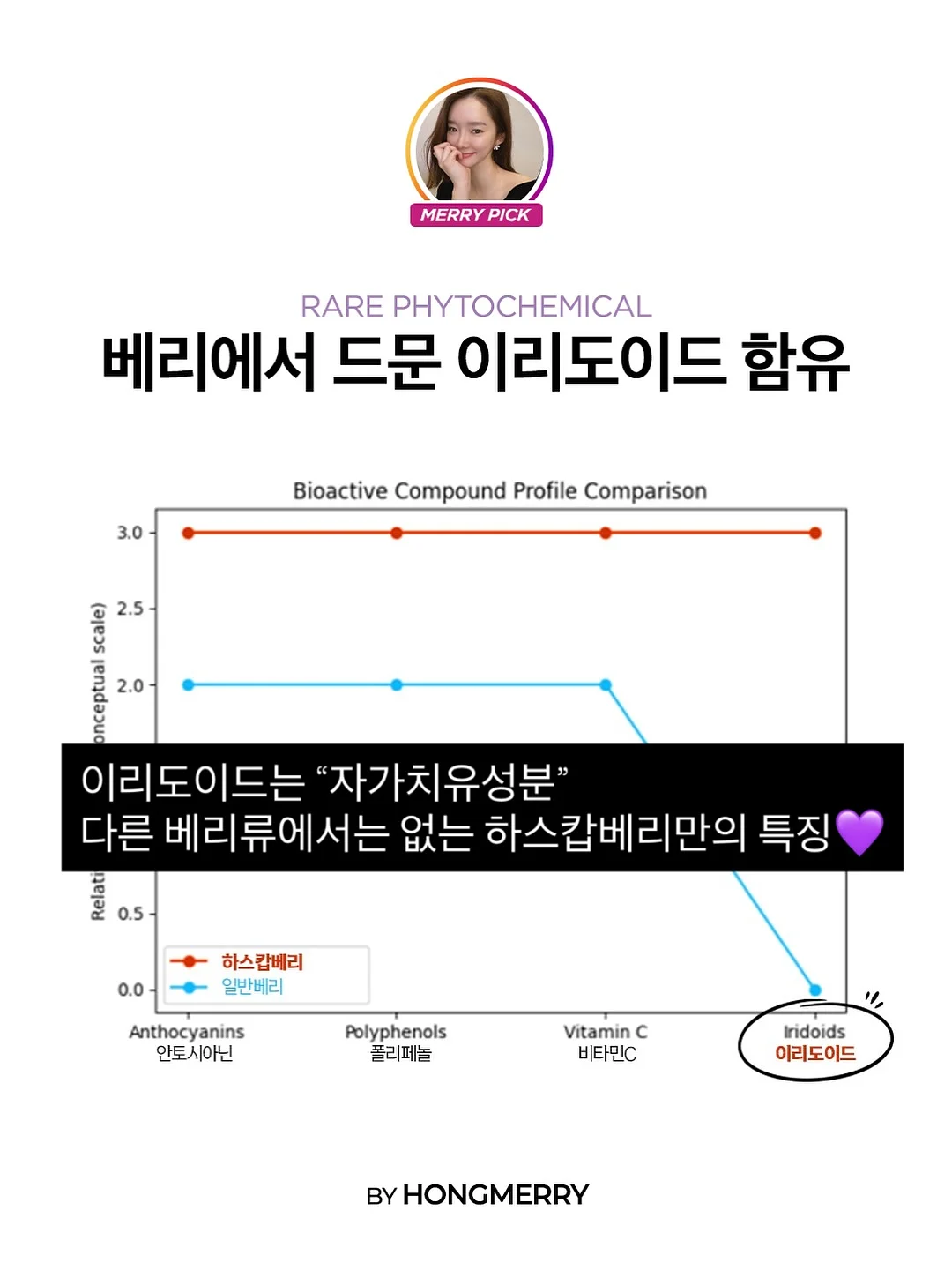 강아지 얼음집 14