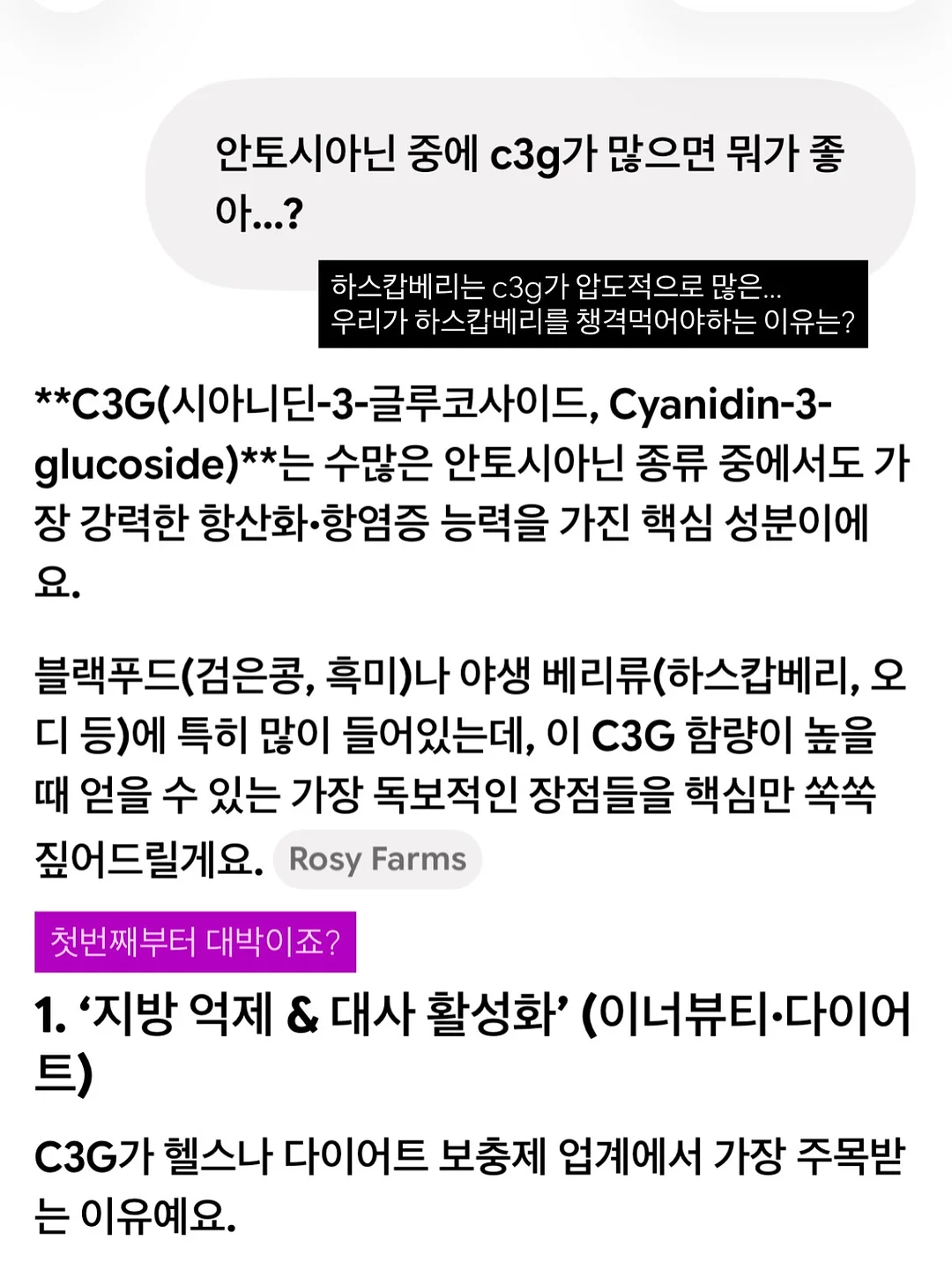 강아지 얼음집 4