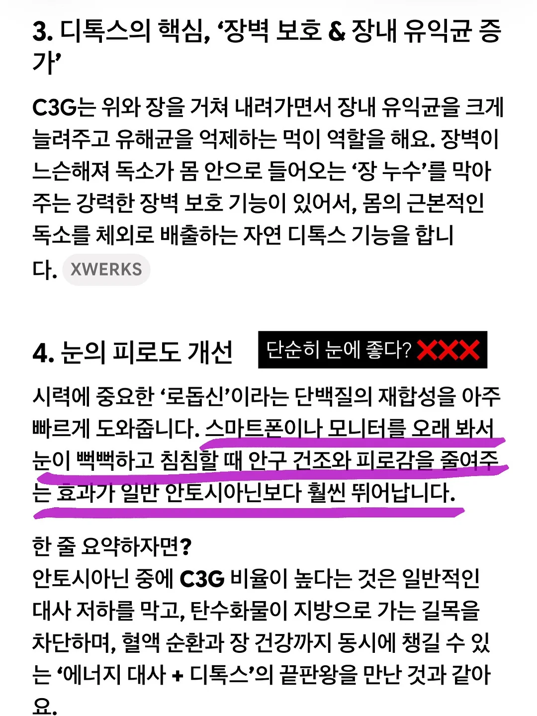 강아지 얼음집 8