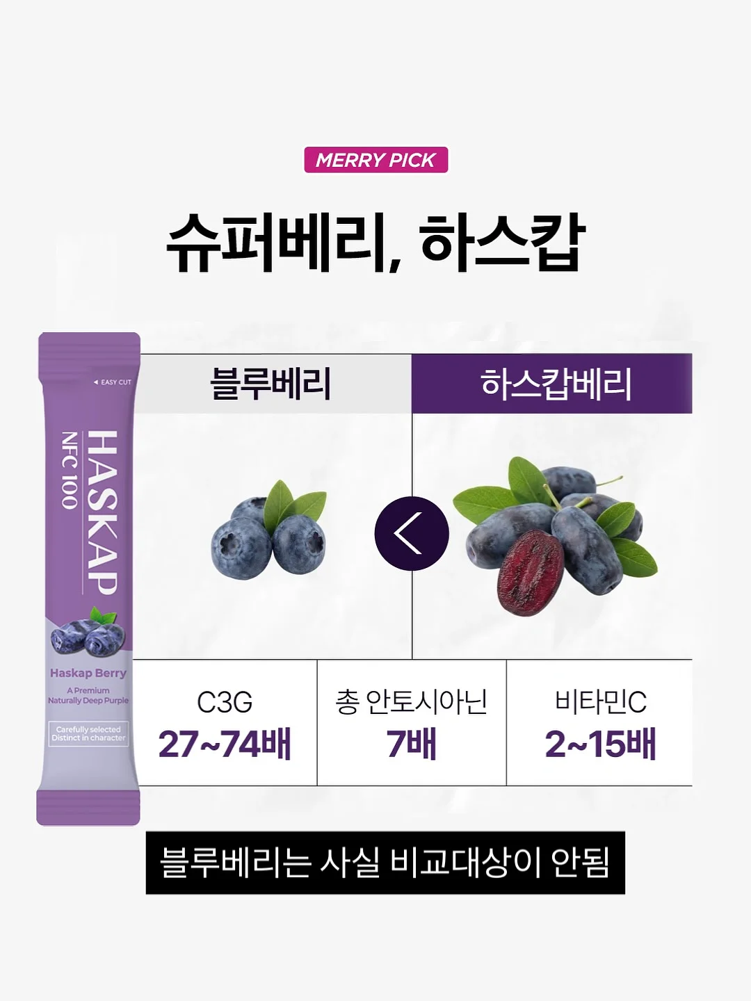 강아지 얼음집 10