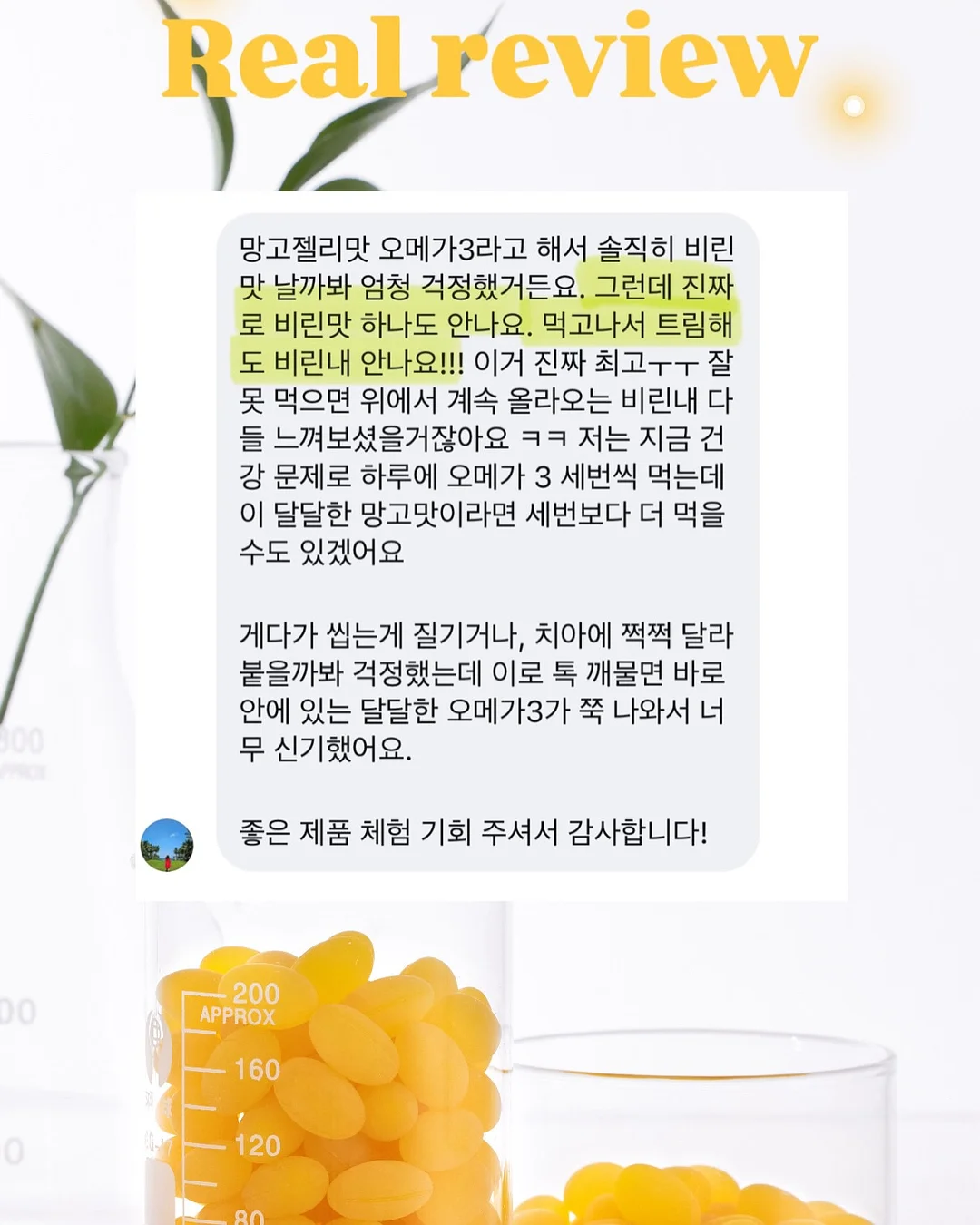 강아지 침대 4