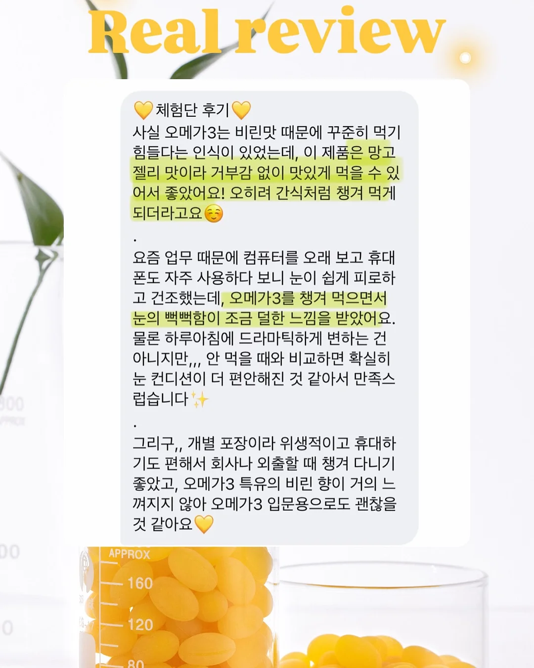 강아지 침대 6