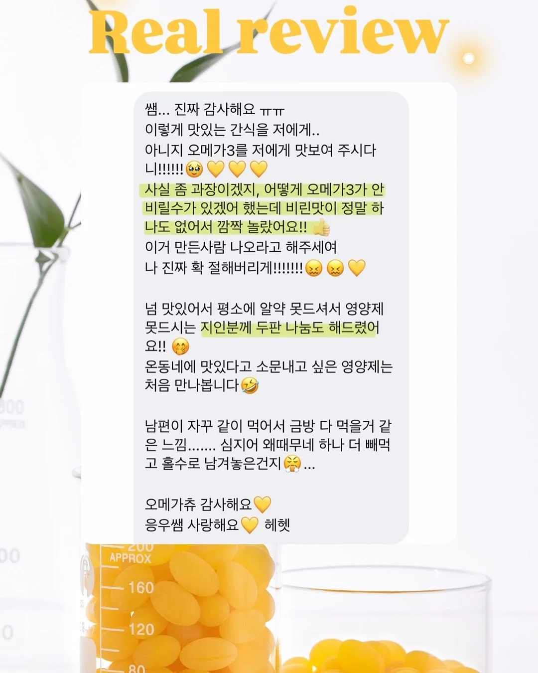 강아지 침대 7