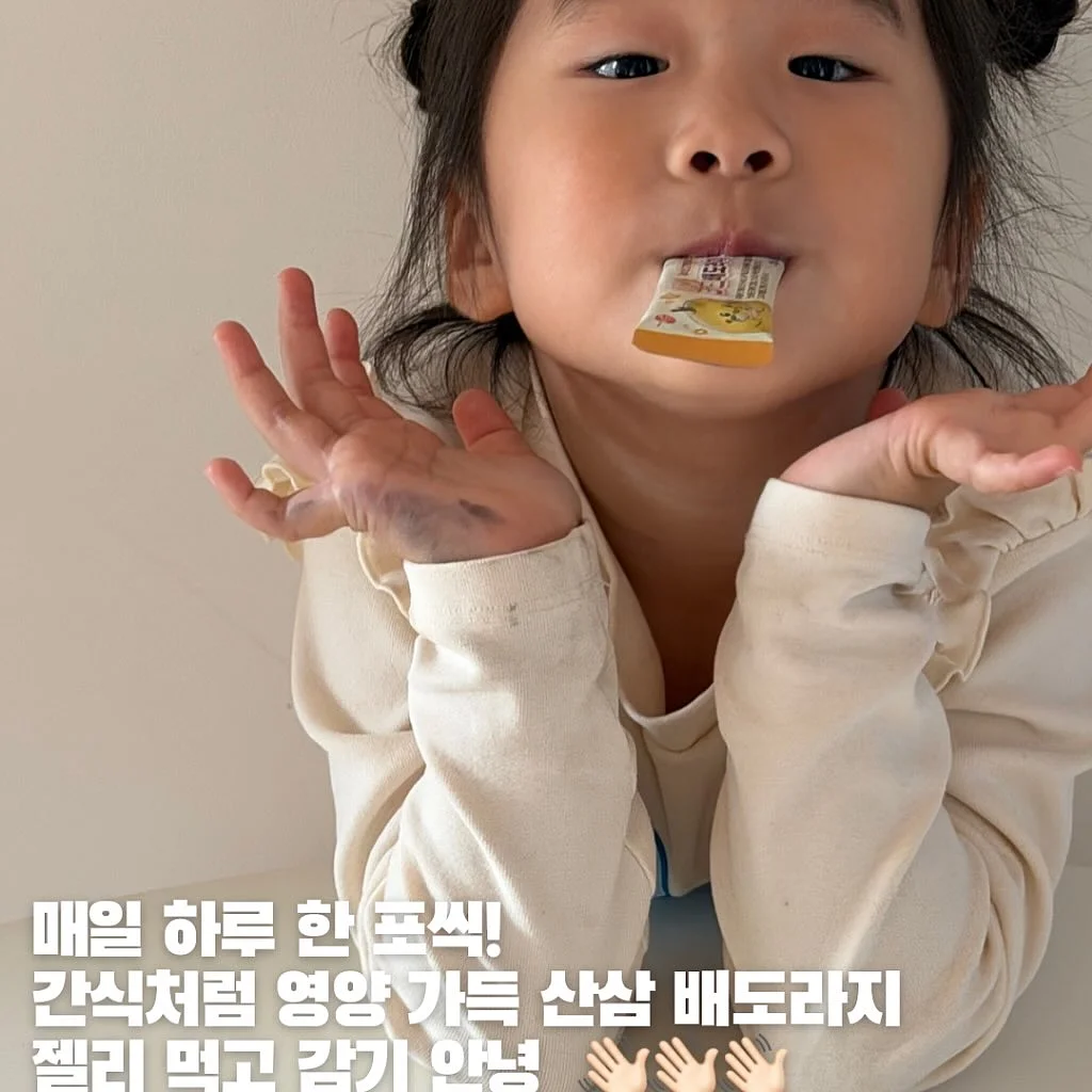 아르코스 나이프 12