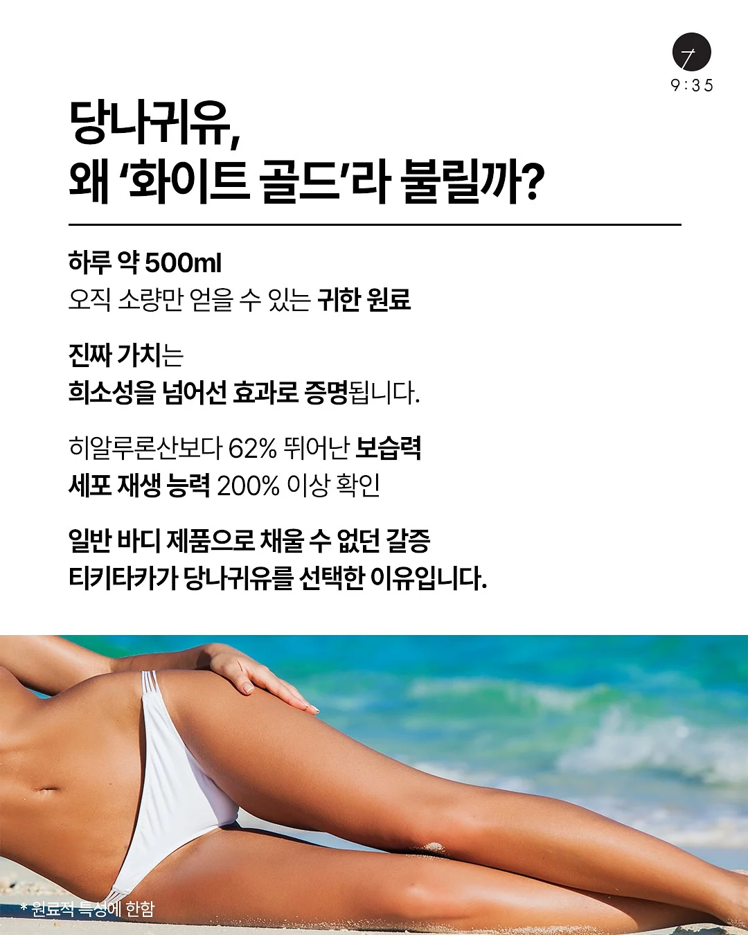 보니토 베베 3