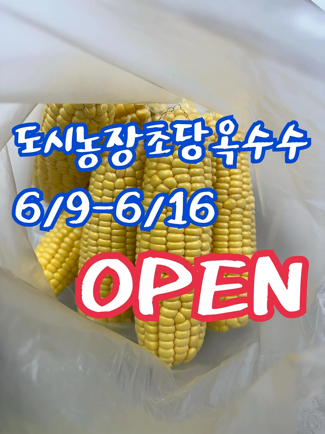 포인트 반팔 코디 1