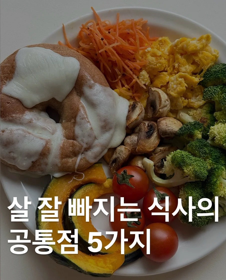 올록담 올리브3 캡슐 1