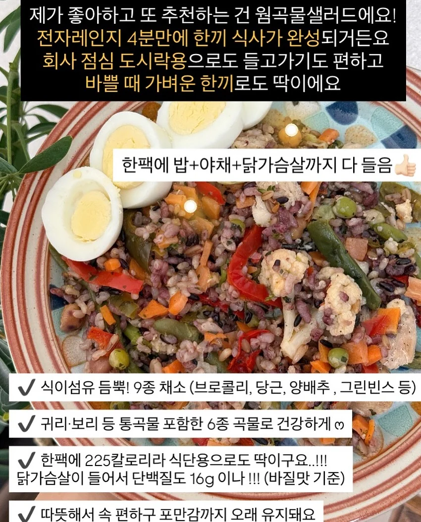 올록담 올리브3 캡슐 4