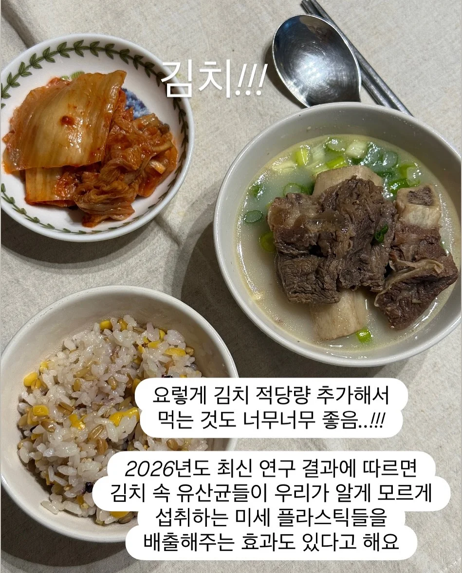 올록담 올리브3 캡슐 7