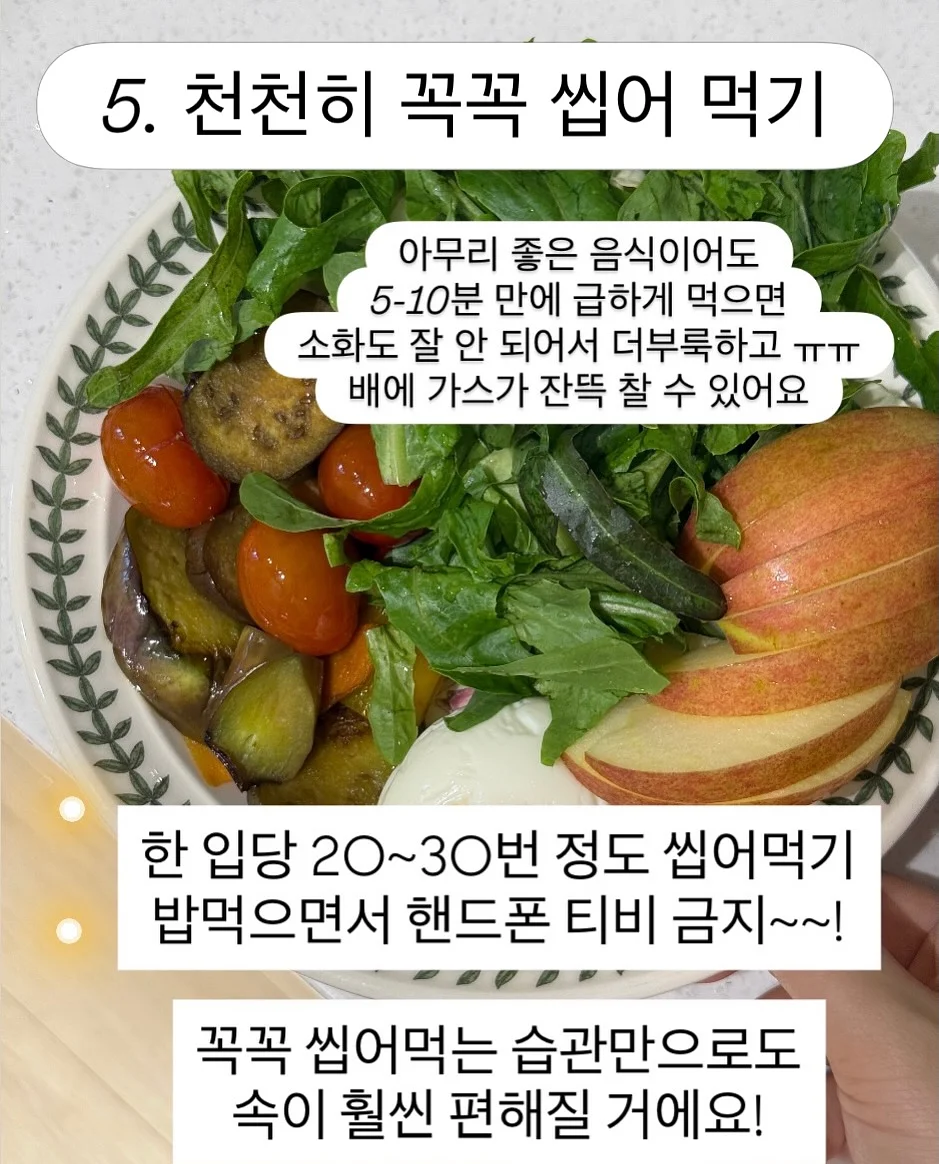 올록담 올리브3 캡슐 8