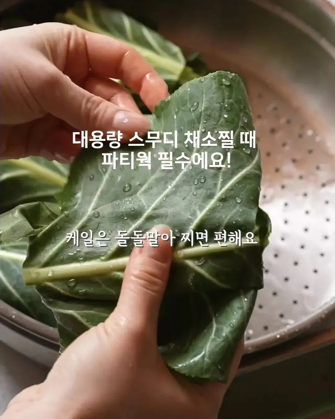 쿨러 백팩 13