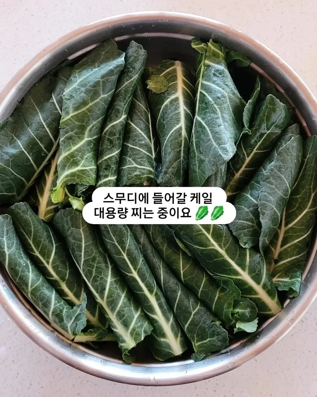 쿨러 백팩 14