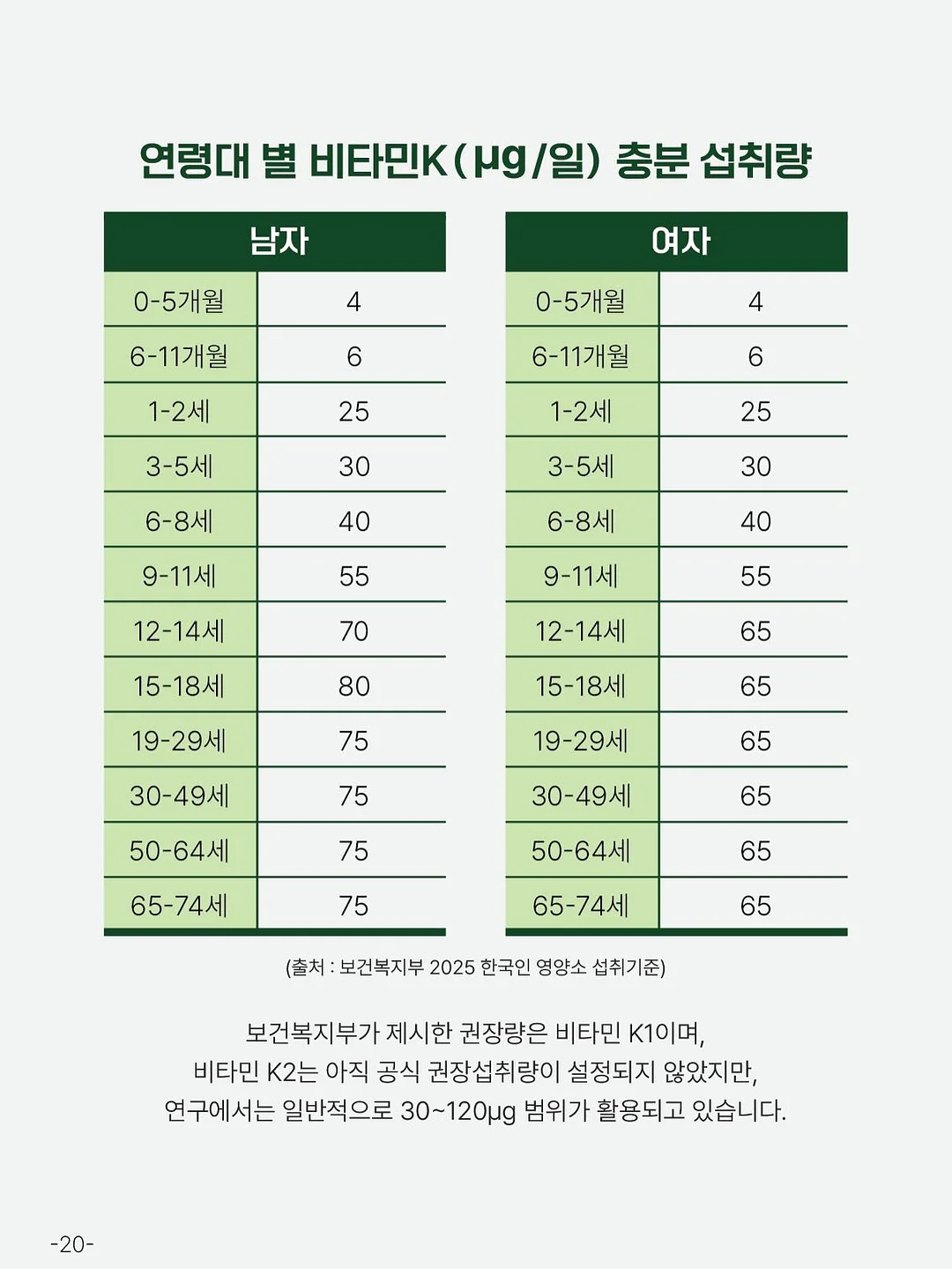 조거팬츠 17
