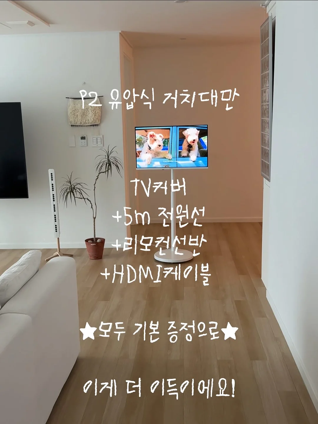 모찌캣 세트 6