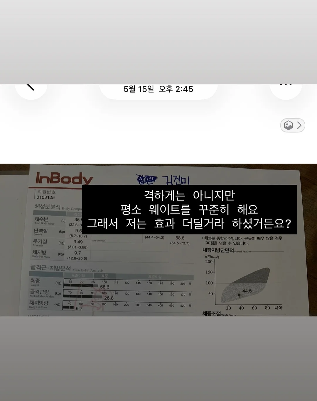 팔레타이니 키링 · 스마트톡 · 소품 2
