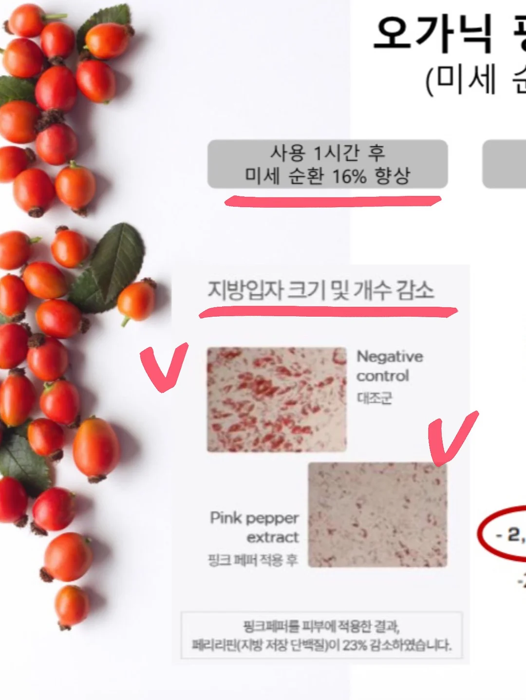 토마토로 만들어줘 - 조예은 17