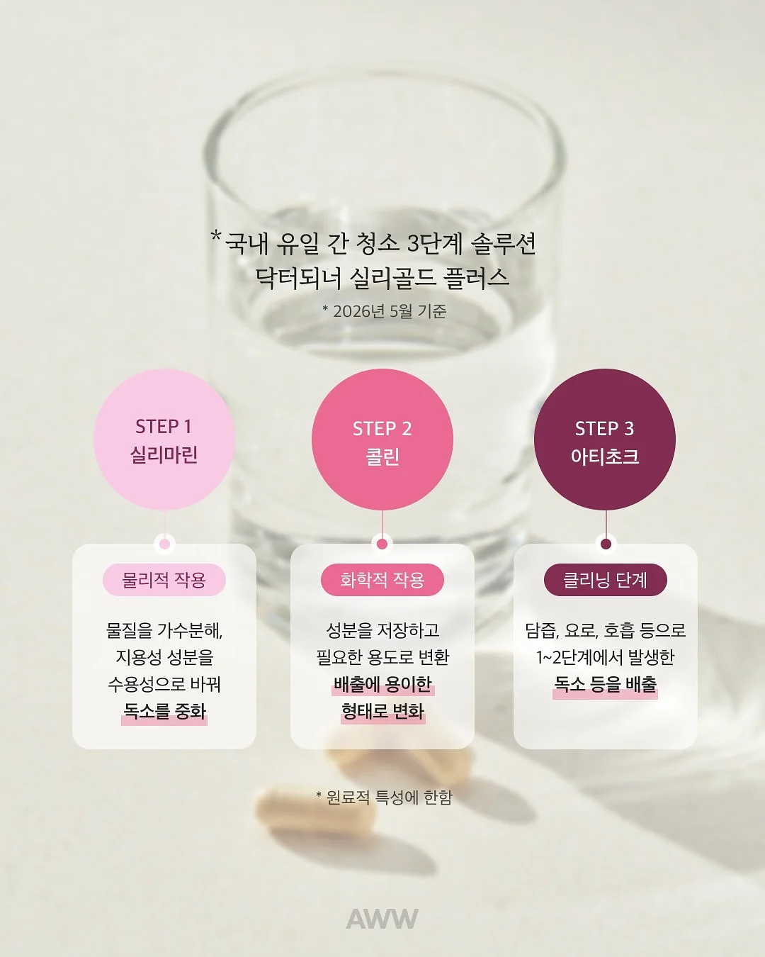 BUST LINE LACE BODYSUIT 3