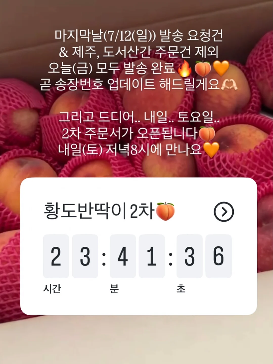 토끼깡총 컨셉 촬영 2