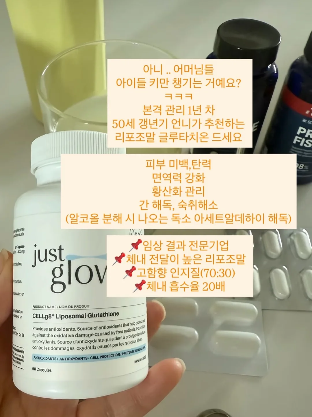 올인원 워터파크 이용권 7