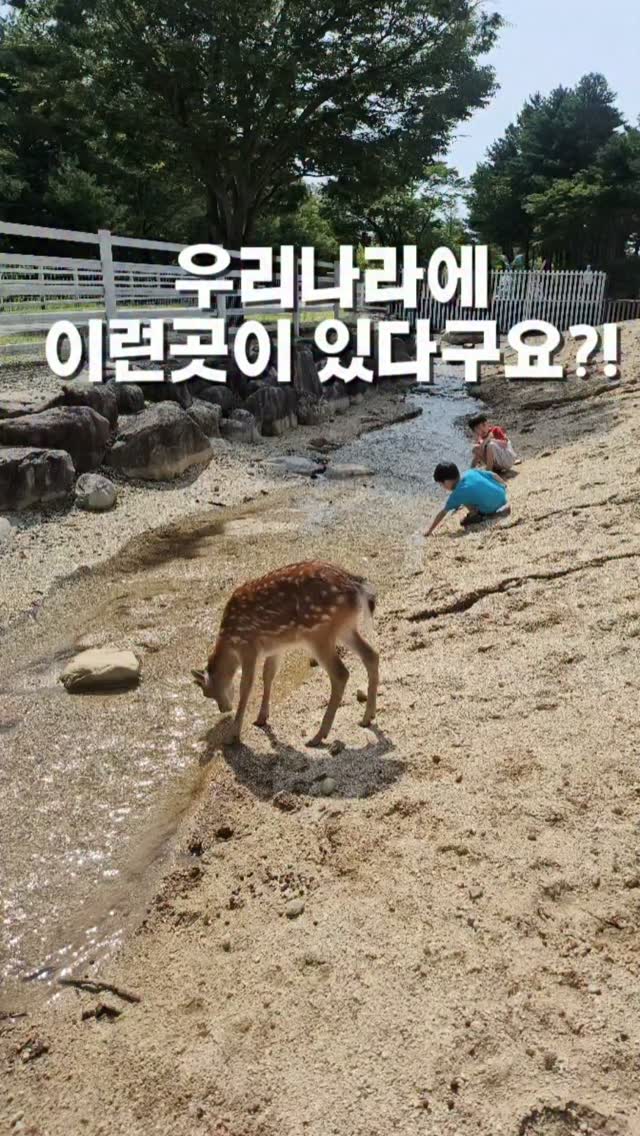 고레스 소파 BLACK COLOR