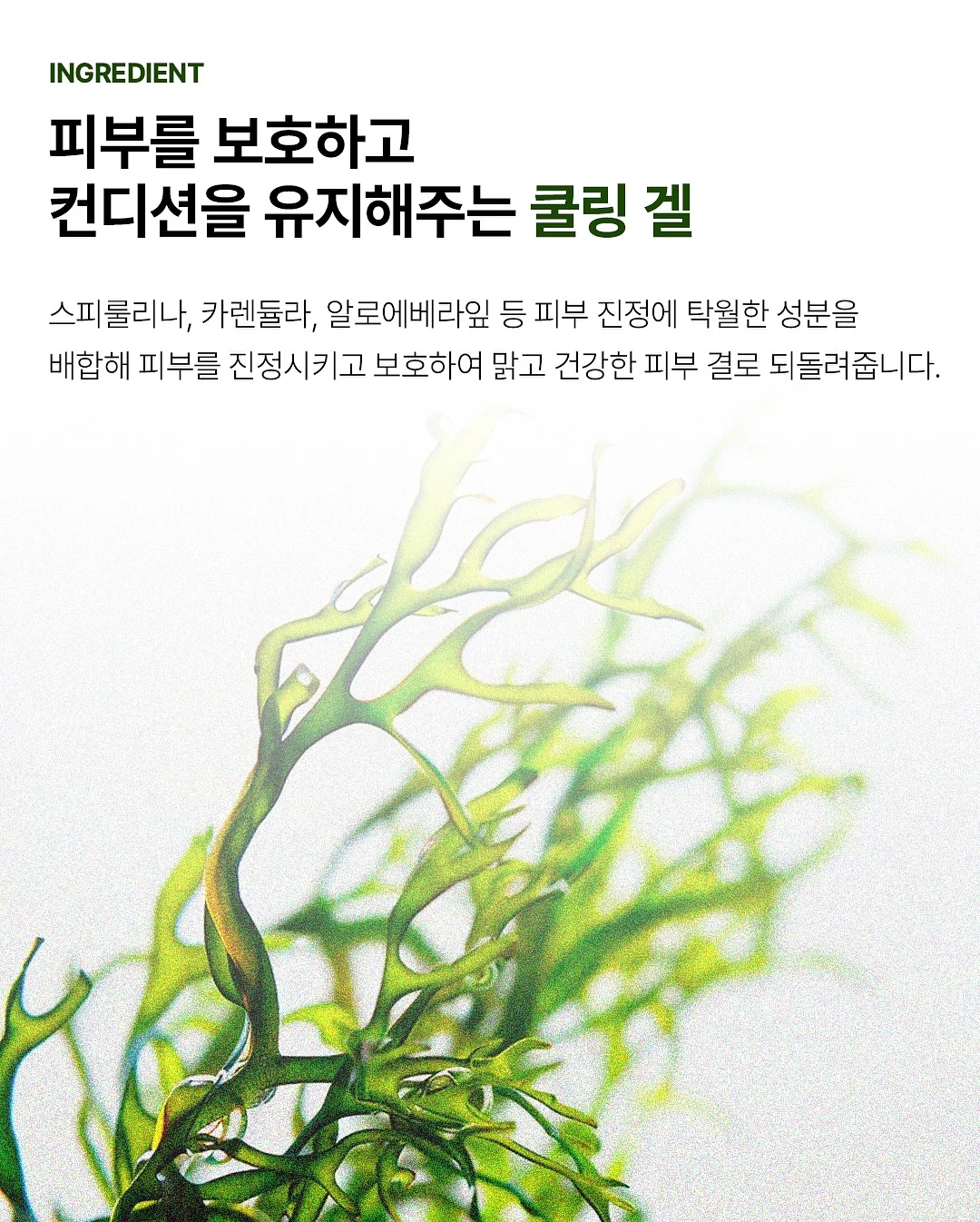 아더에러 반팔티 5