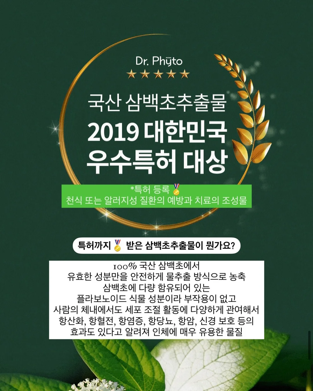 브루 텍스트 기반 영상 편집 10