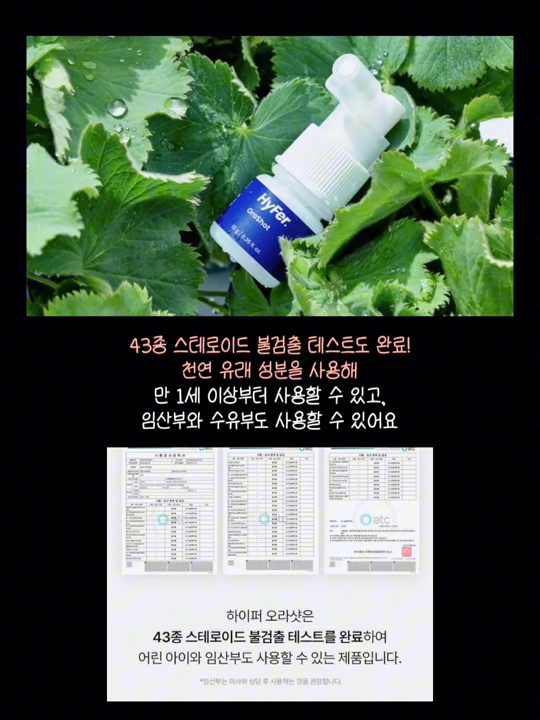 메리루스 비타민/가든오브라이프 유산균/프로틴 12
