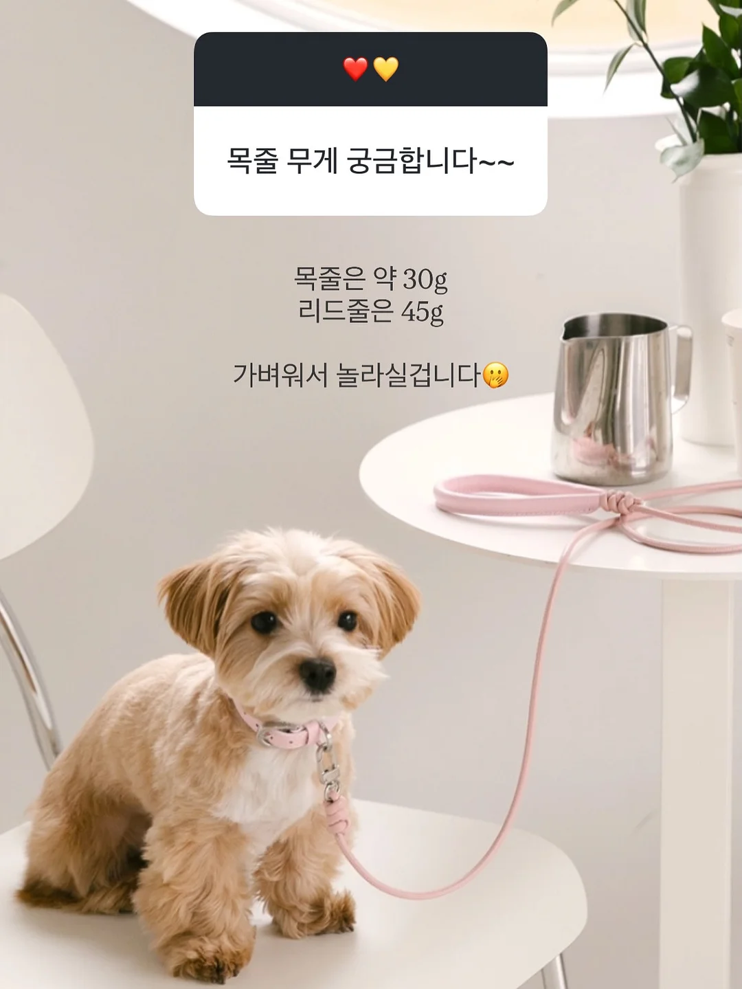 프린팅 옷 복원 방법 11