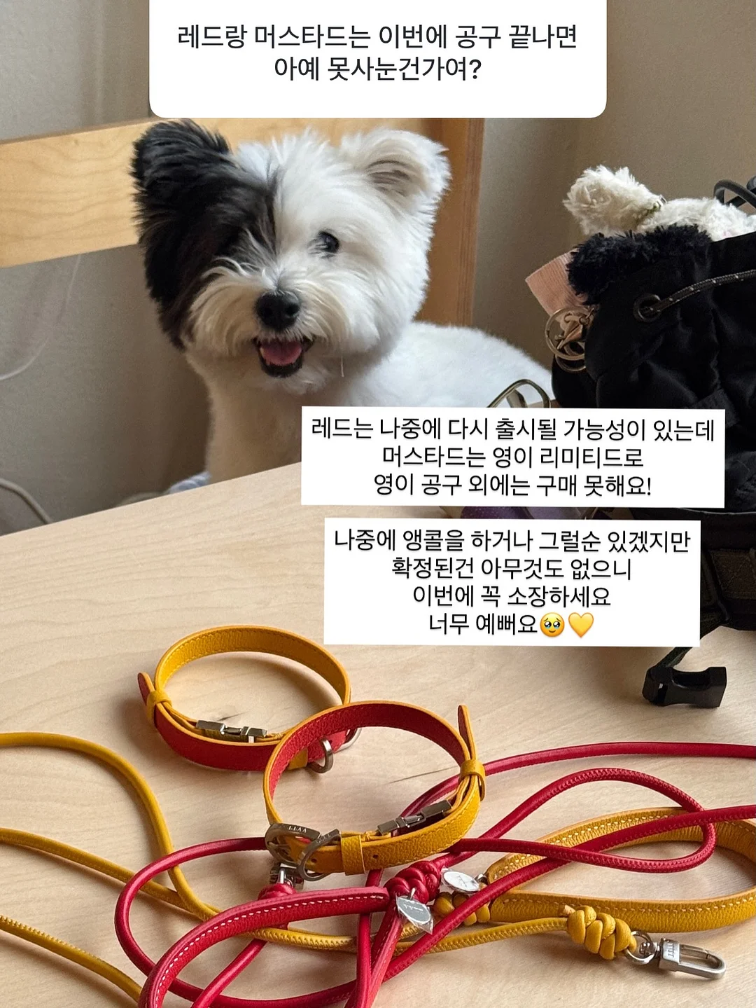 프린팅 옷 복원 방법 10