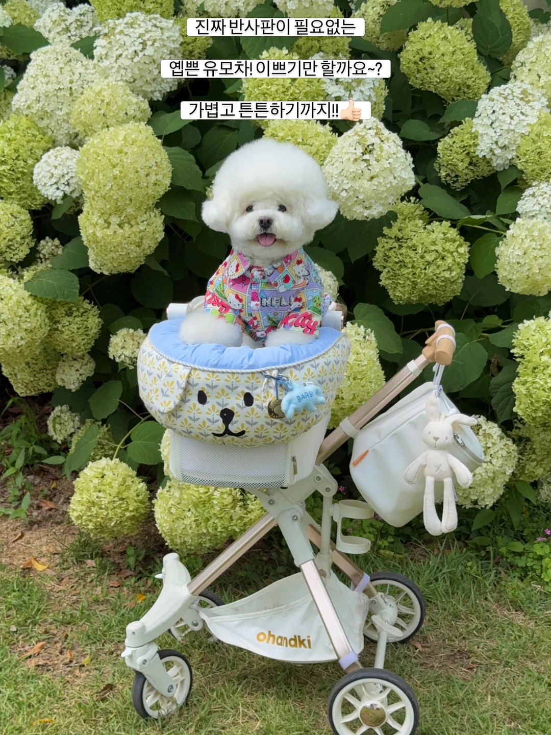 코시밀크 펫밀크 4