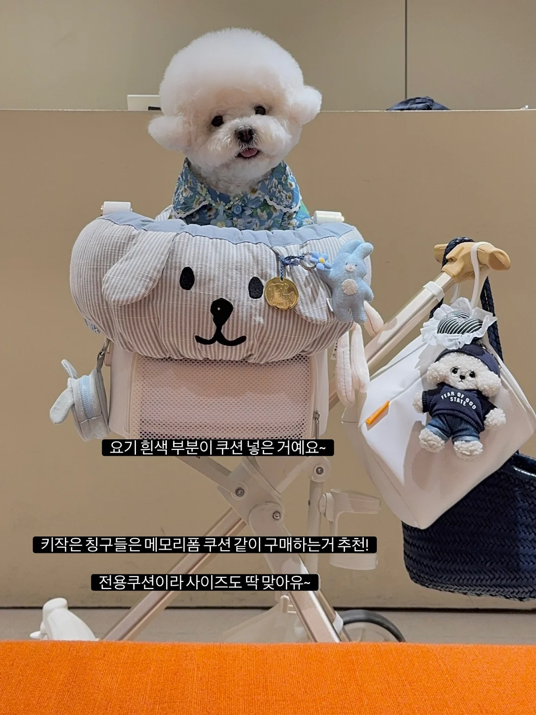 코시밀크 펫밀크 5