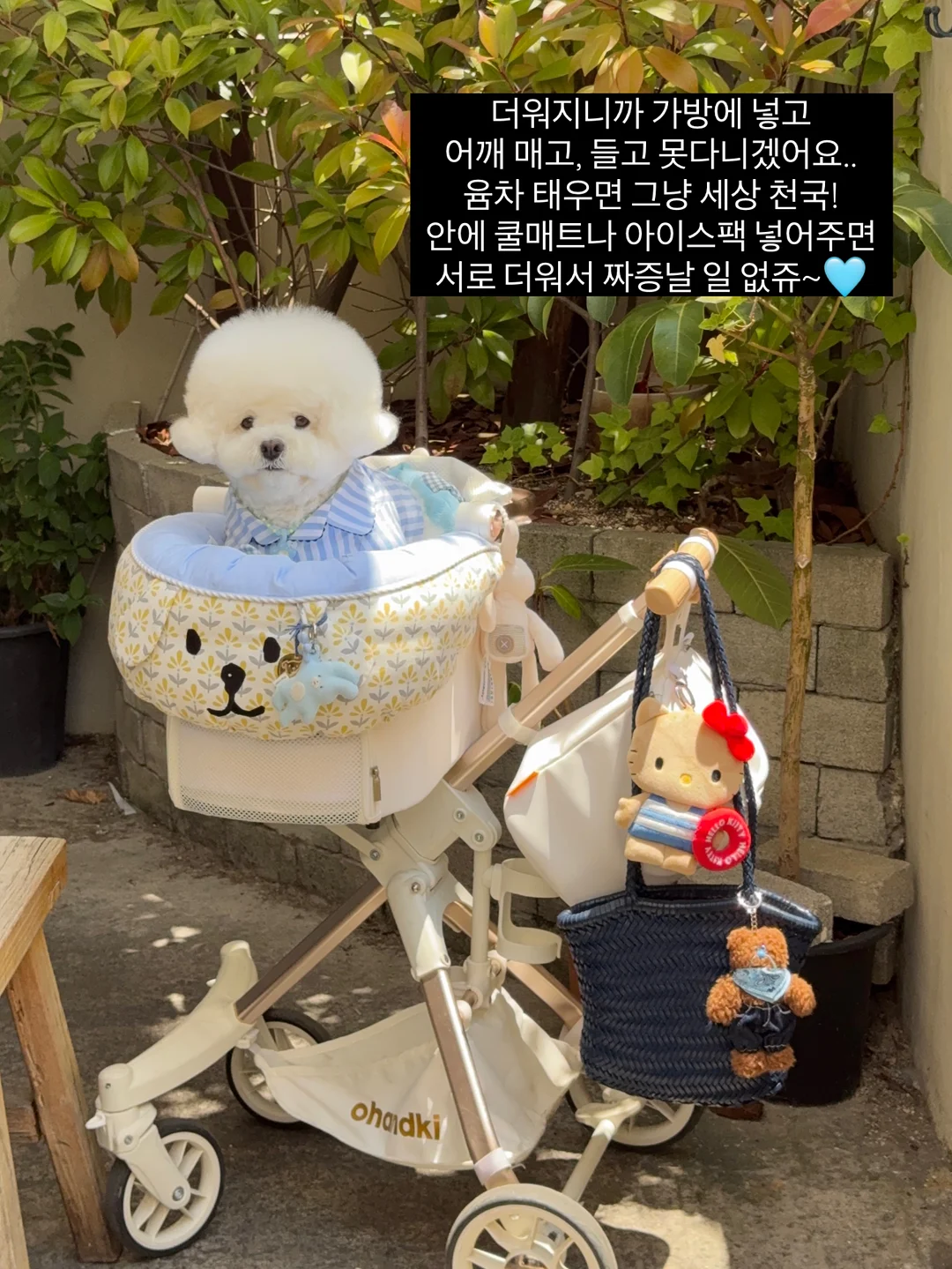 코시밀크 펫밀크 6