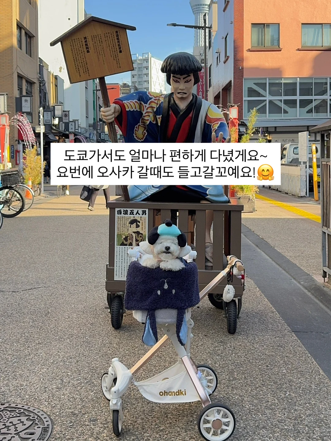 코시밀크 펫밀크 7