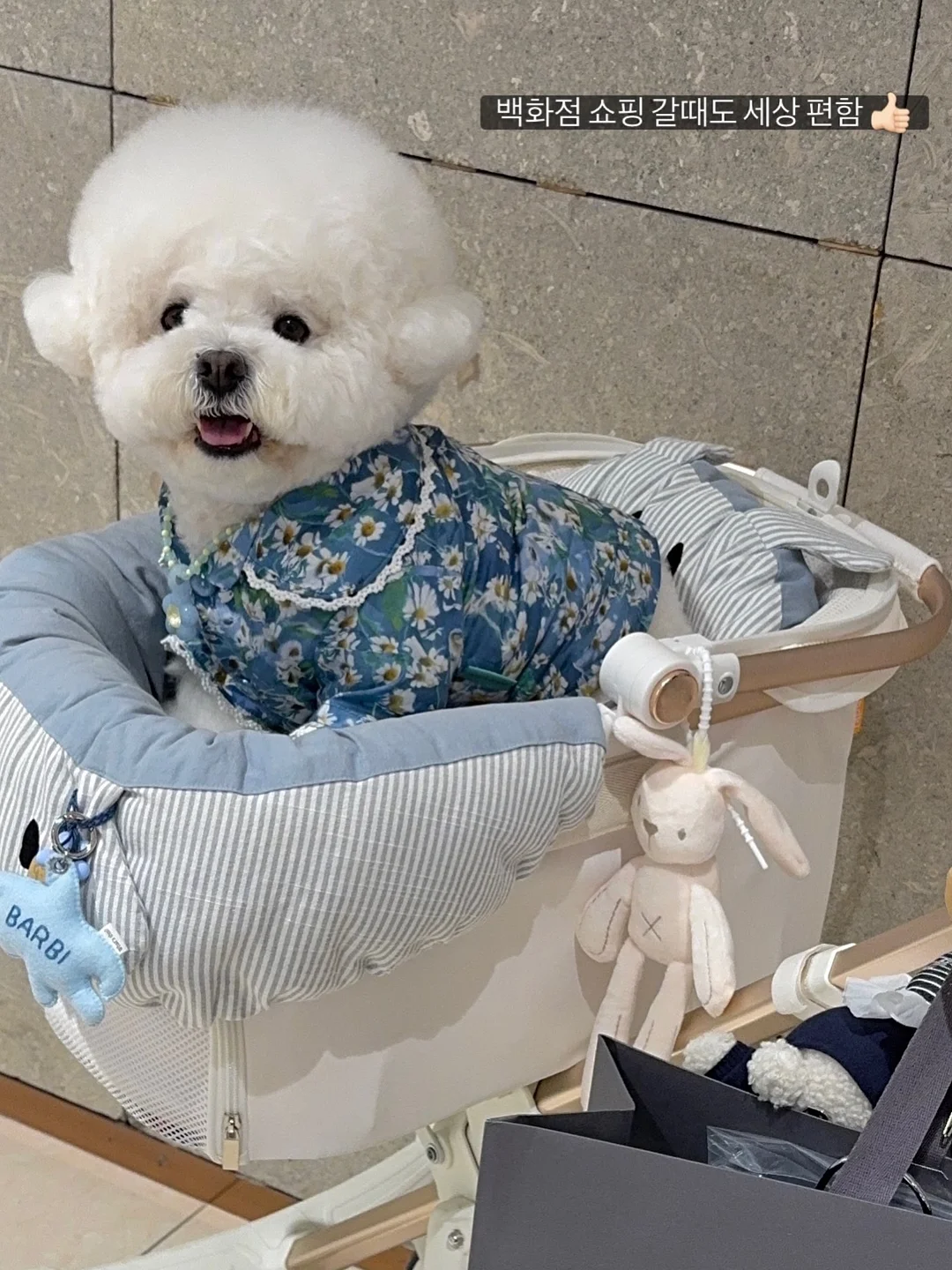 코시밀크 펫밀크 8