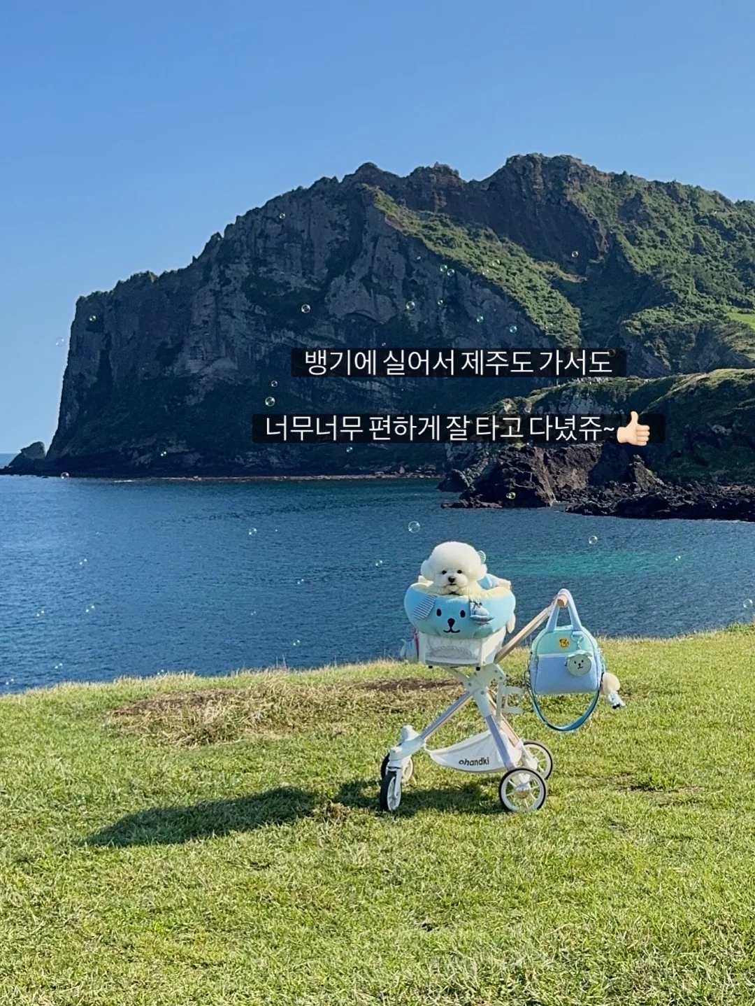 코시밀크 펫밀크 9