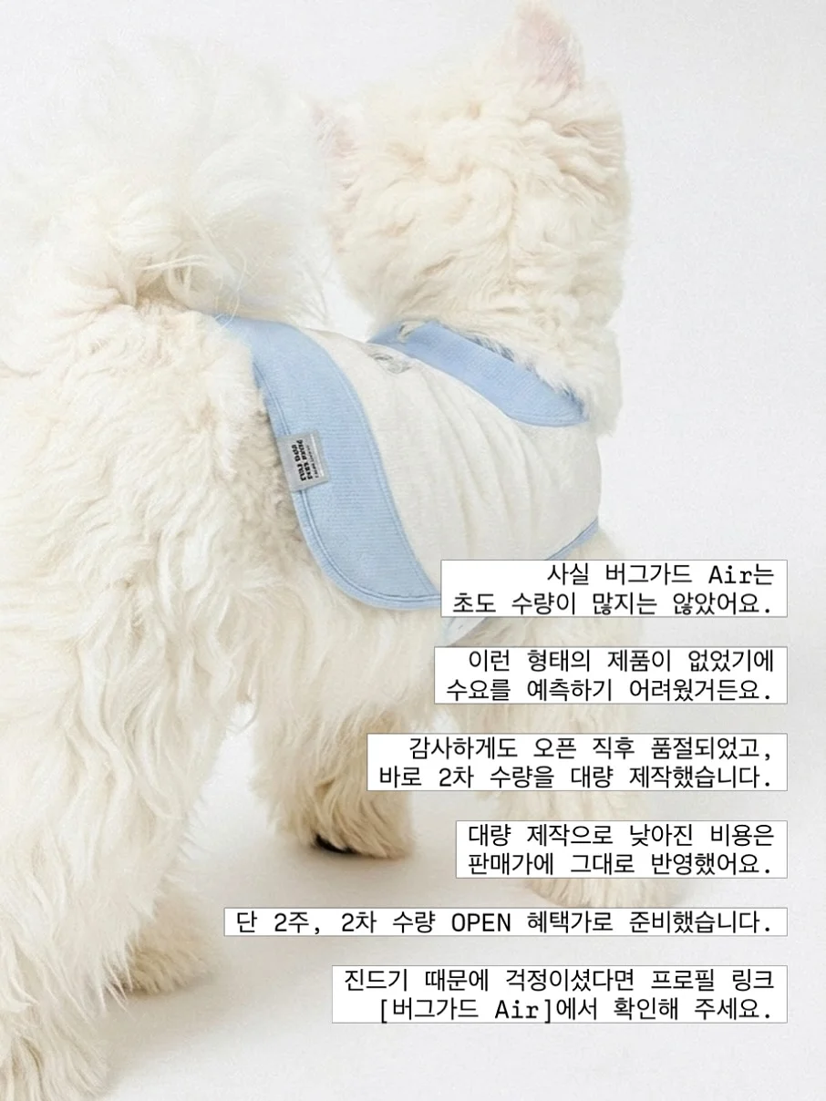 알러이즈