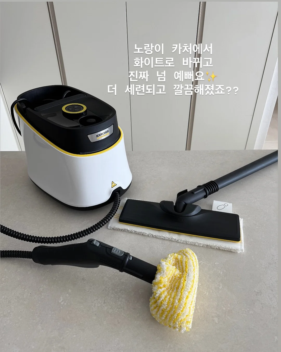 파파야멜론 16