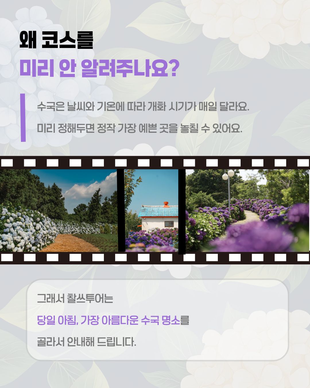 마바샴푸 4