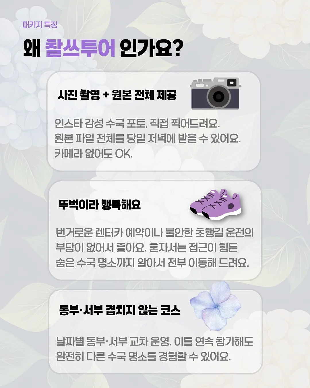 마바샴푸 5
