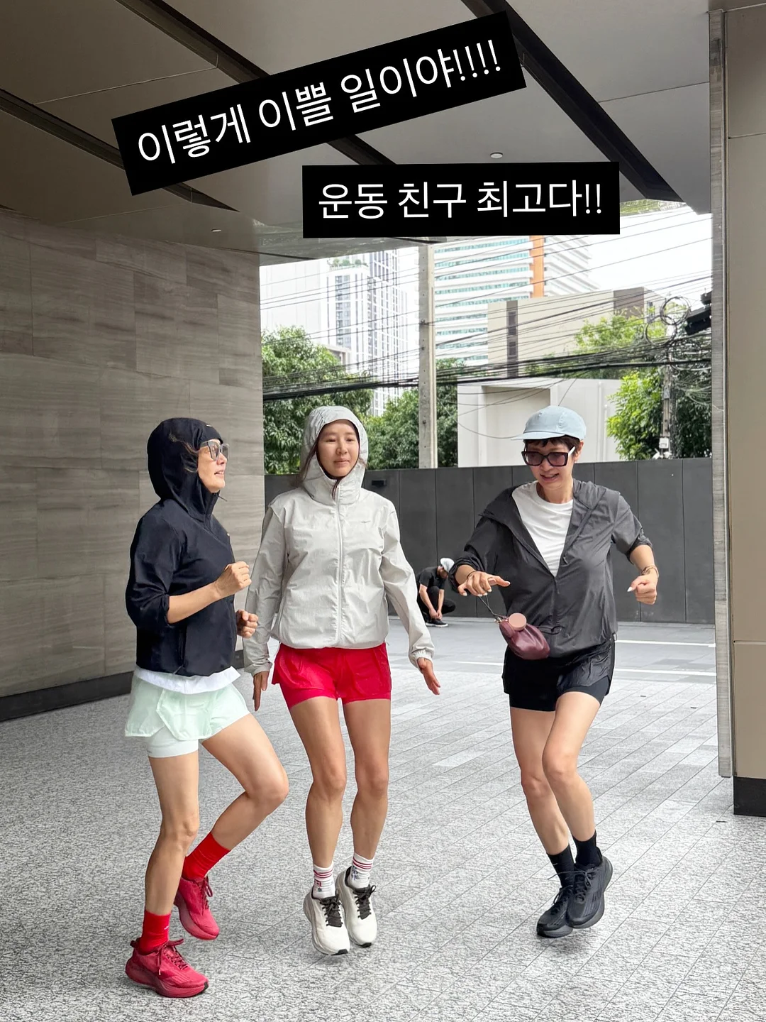 애견미용 수업 2