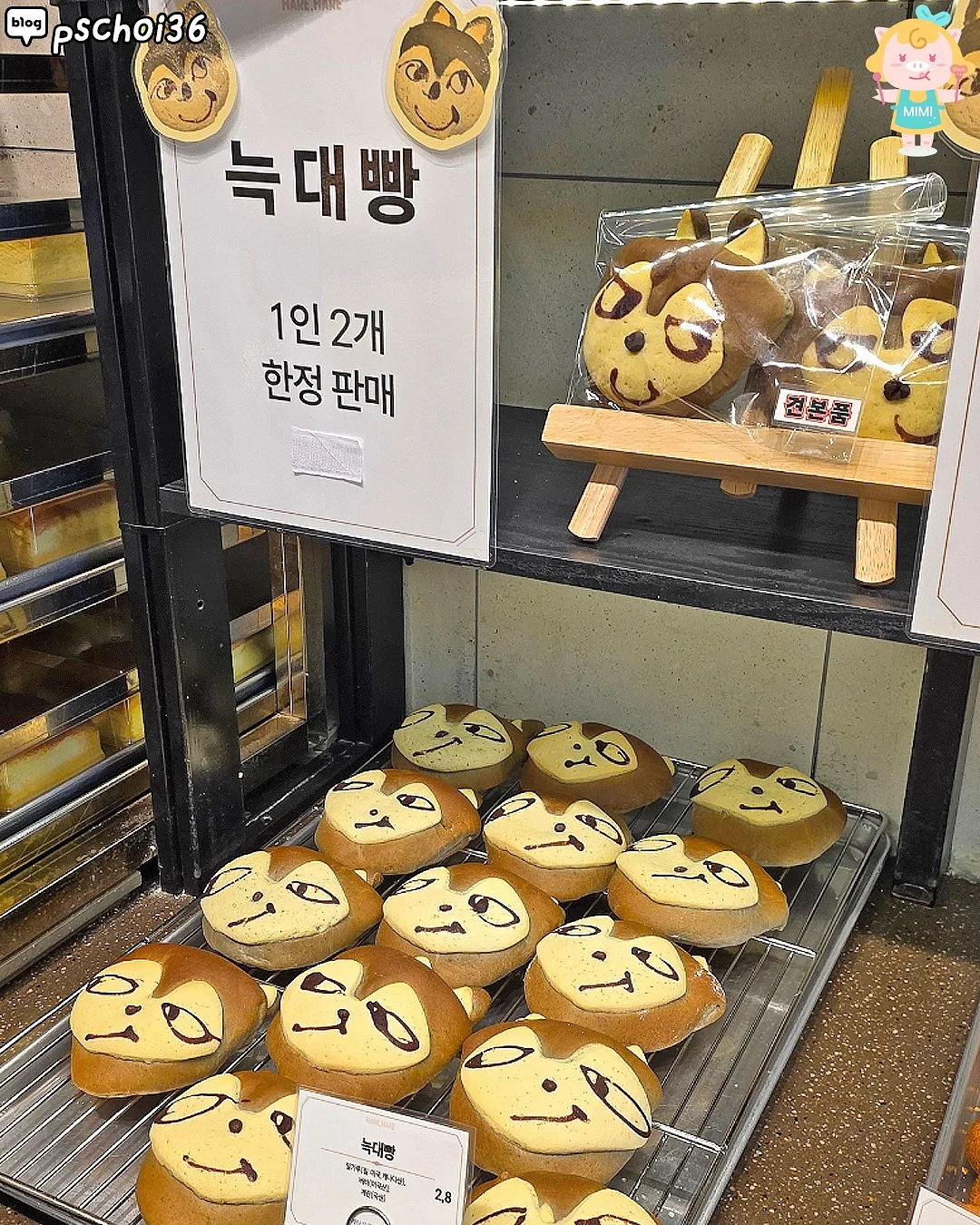 아잇 비비드고쟁이 8