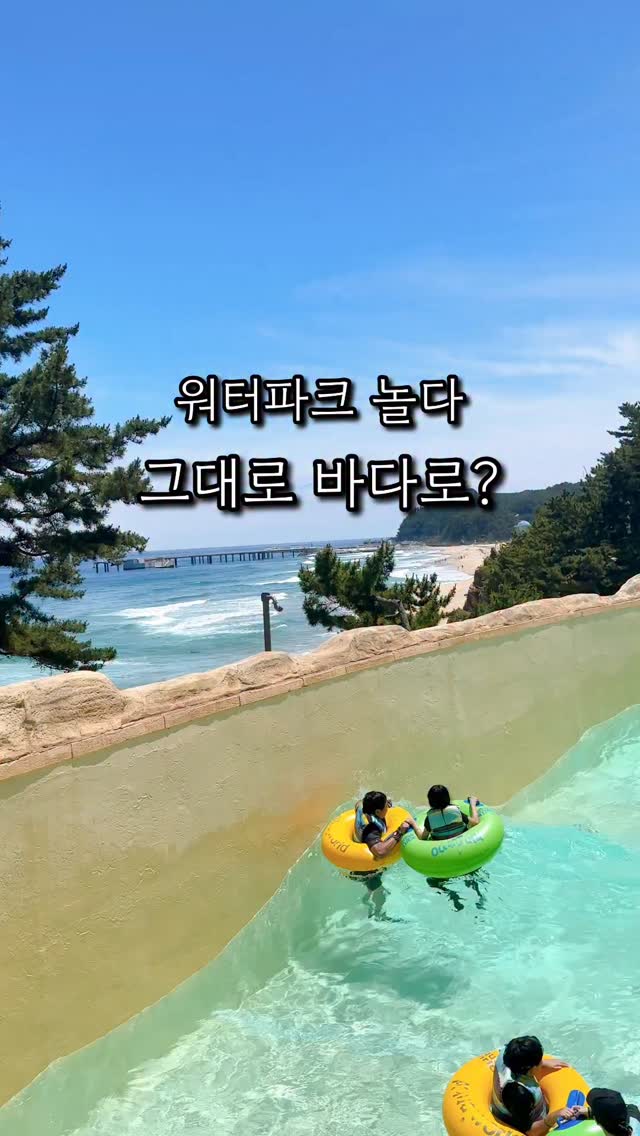 르메르 카드 홀더