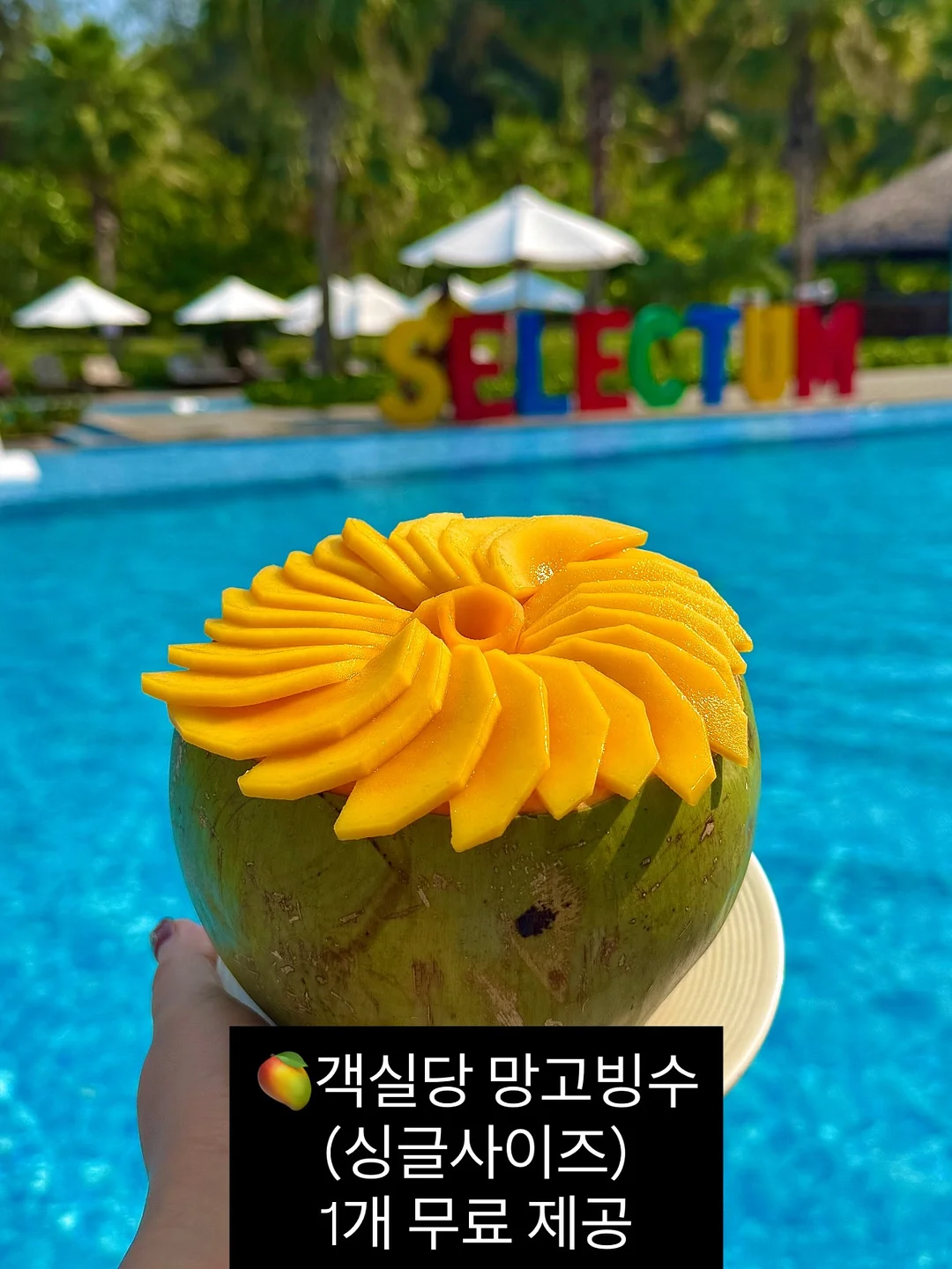 오이 레시피 13