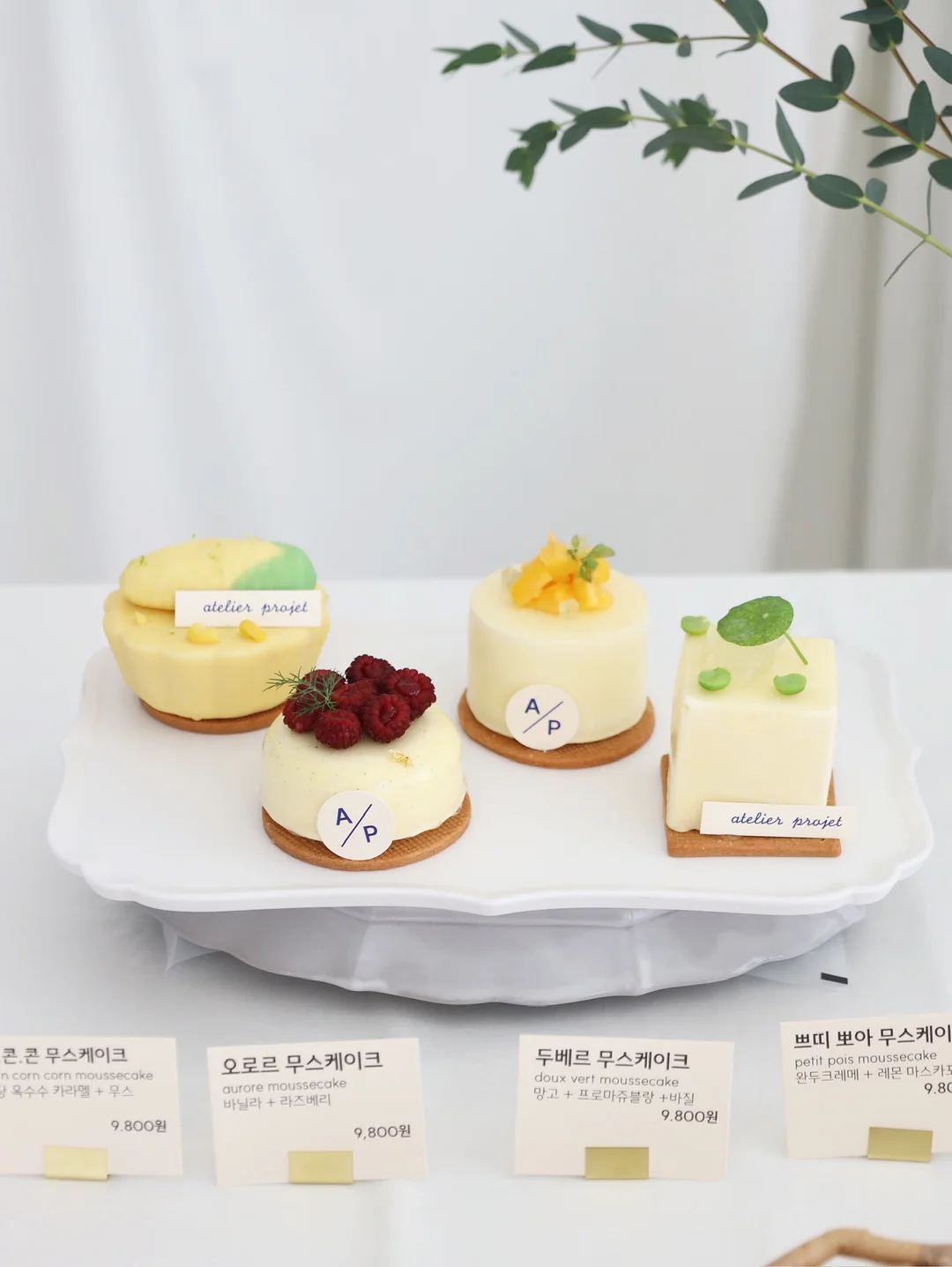 스콘 2